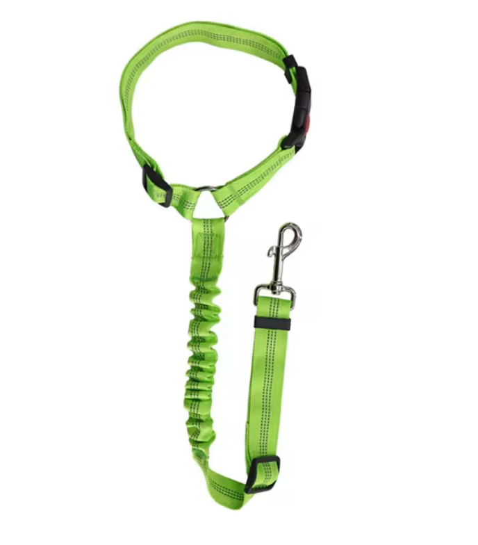 Dog Travel Leash