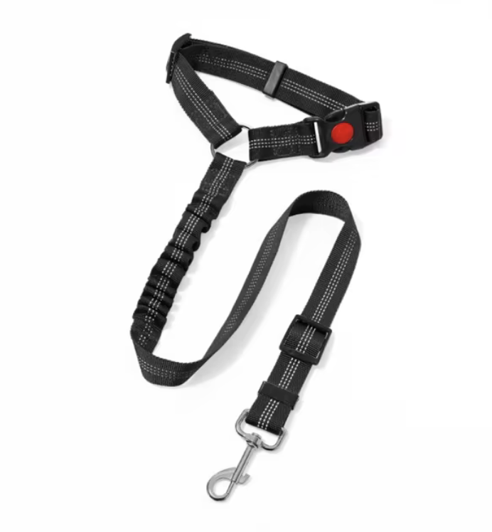 Dog Travel Leash