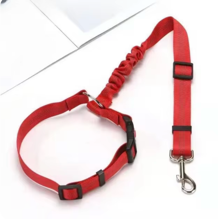 Dog Travel Leash