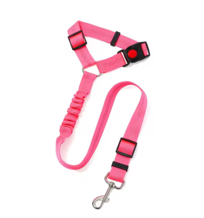 Dog Travel Leash