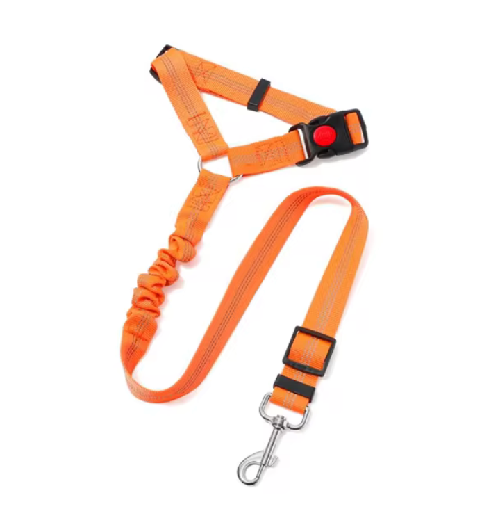 Dog Travel Leash