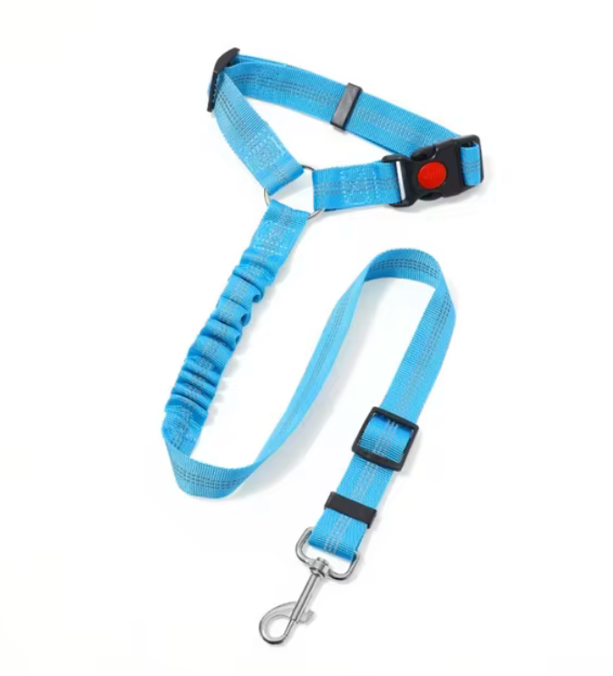 Dog Travel Leash